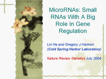 Microrna And Thier Role In Gene Regulation Ppt