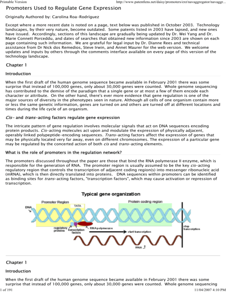 Promoters In Gene Expression
