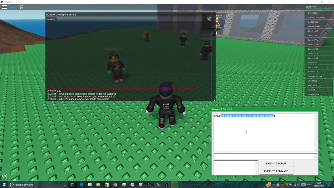 Dll Injector Roblox