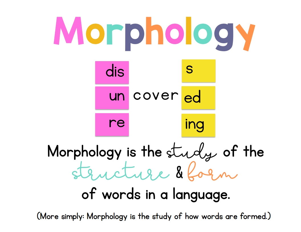 Morphology Of Nucleoids In Sections From Albino Leaves Of Maize