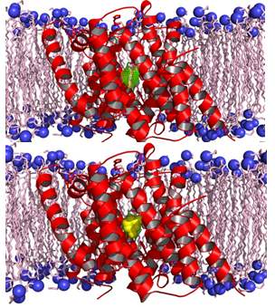 Unlocking The World Of Molecular Dynamics A Comprehensive Simulation