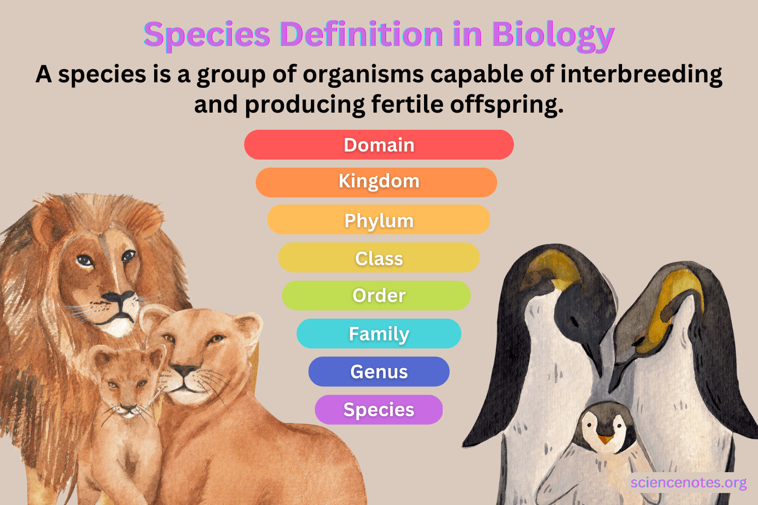 Species Diversity Chart Keski