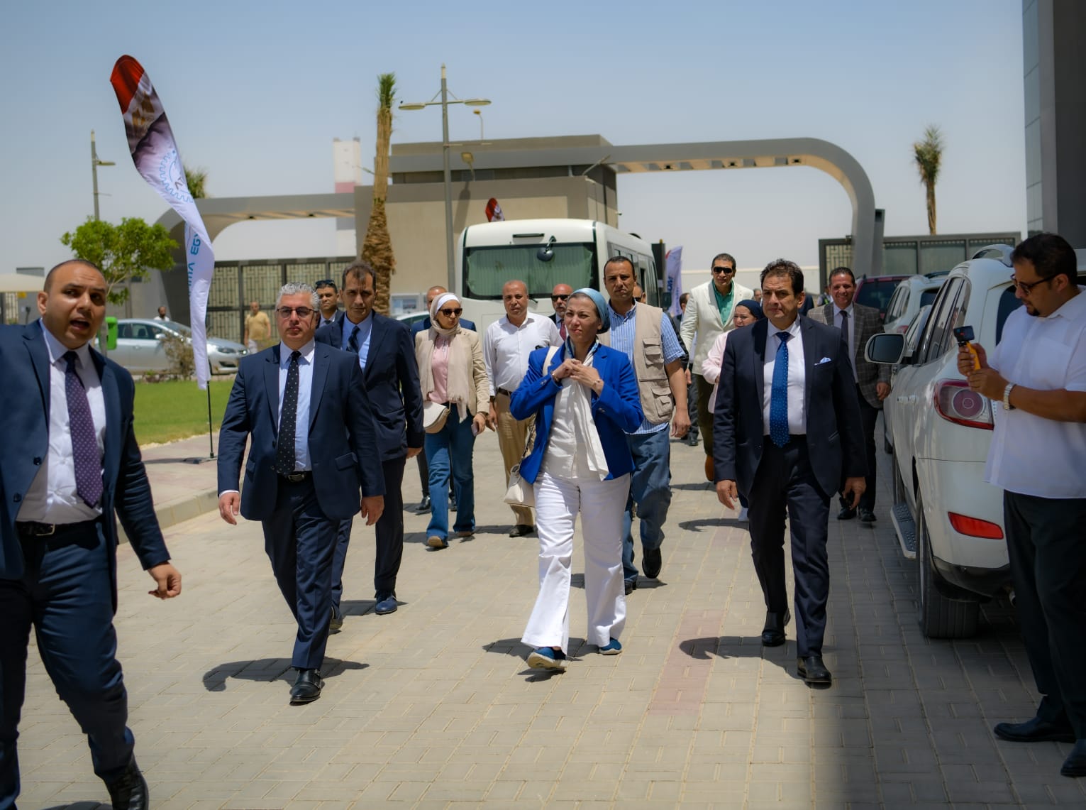 Sem Examination Showed The Morphology Of Hers Cells And Dfcs Growing On