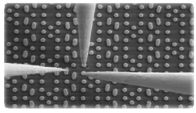 Probing The Proteome With Engineered Nanoparticles Technology Networks