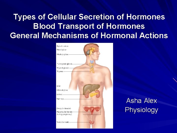 Solution Biochemistry Secretion And Transport Of Hormones Studypool