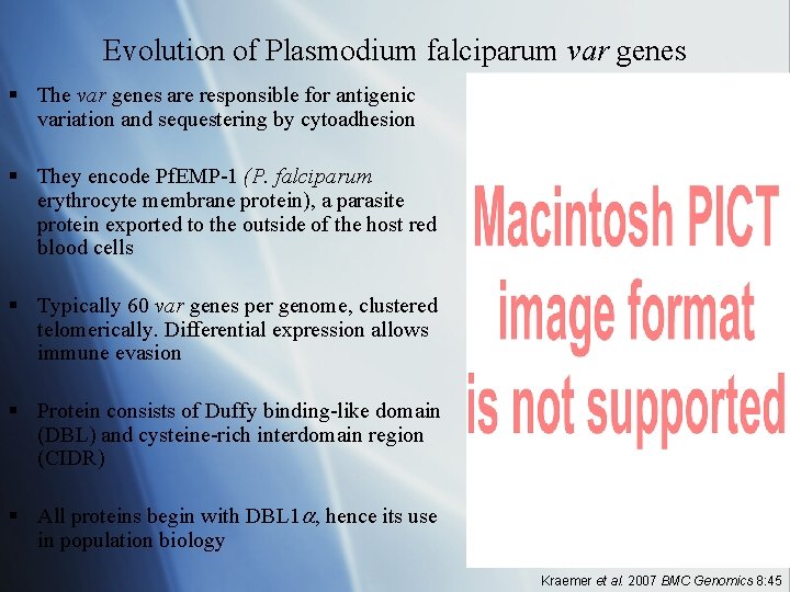 Pdf Evolution Of A Unique Plasmodium Falciparum Chloroquine