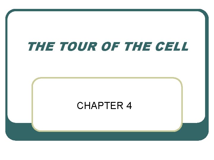 Chapter 4 In Class Notes Biology A Tour Of The Cell Chapter 4 What