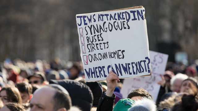 Anti Alpha Actin Cytoskeleton Antibody