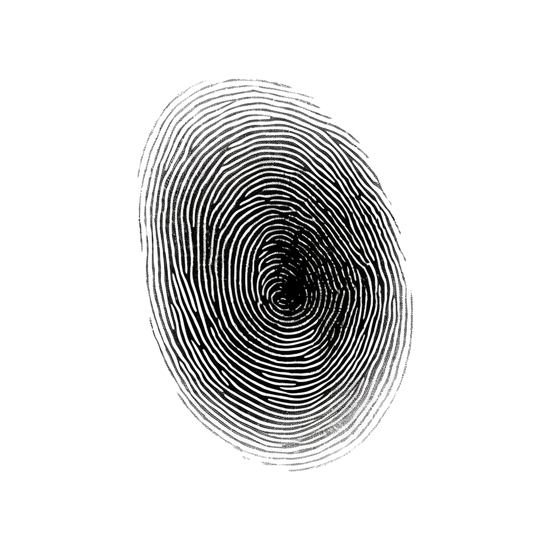 Fingerprint Set Fingerprint Recognition Process Stock Vector Royalty