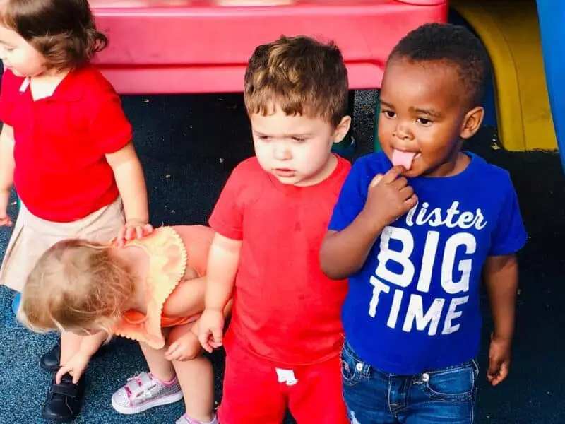 Elc Broward Provider Portal Login