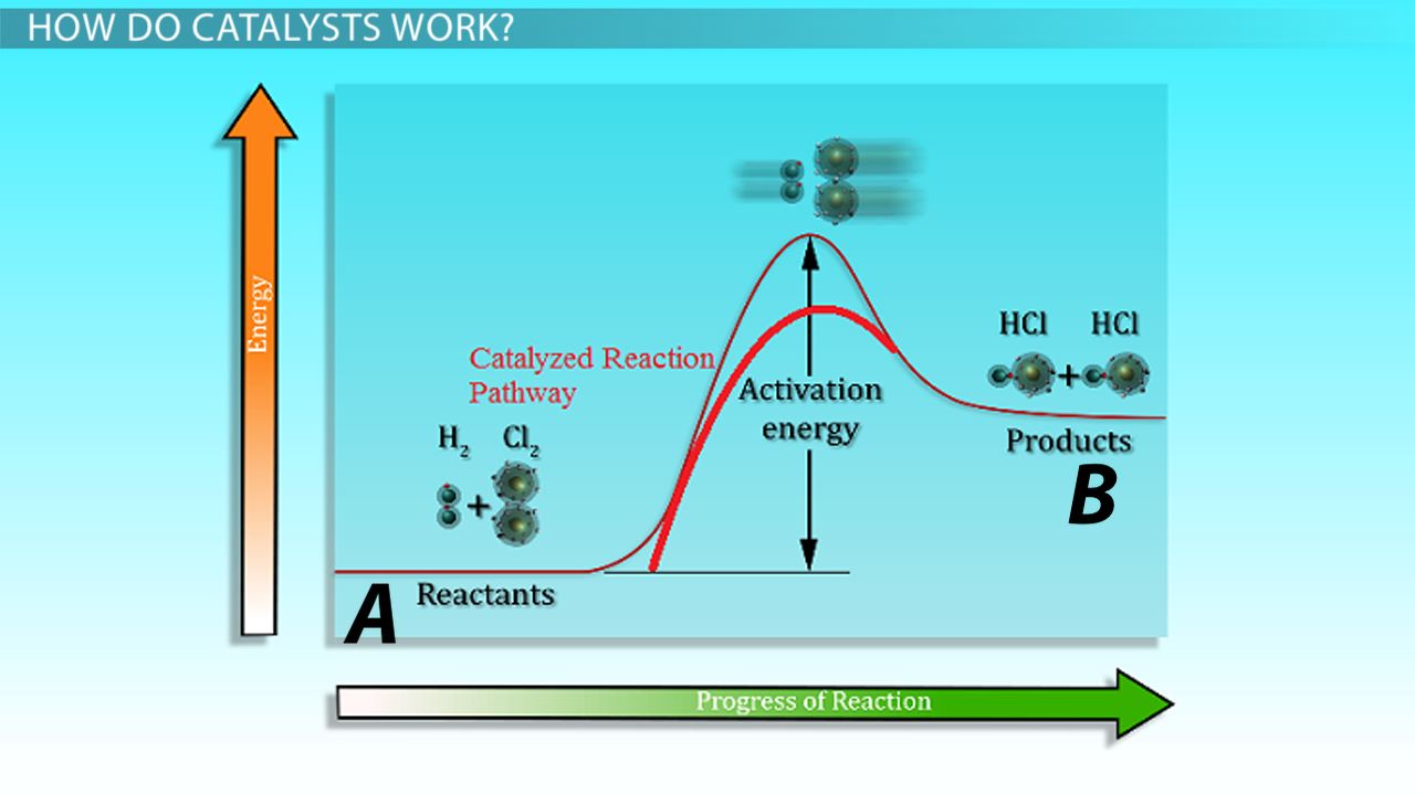 Catalysts Free Full Text Photocatalytic Reactivity Of Carbon
