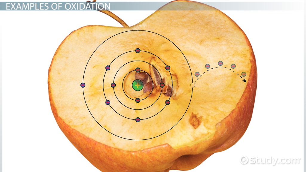 Oxidation Chemistry Notes Chm 1311 Studocu