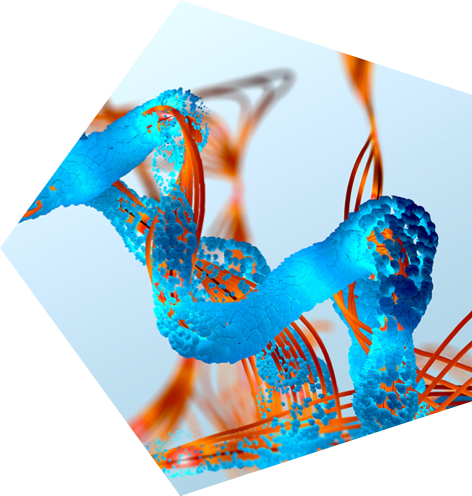 How Are Proteins Formed