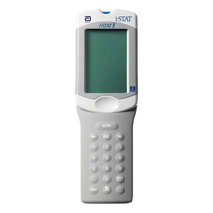 Istat Raccolta Dati 2024