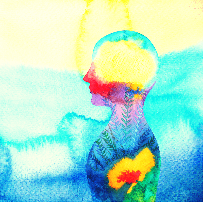 14 Mind Blowing Facts About Cladistics Facts Net