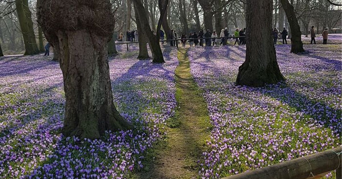 Many Paths One Destination