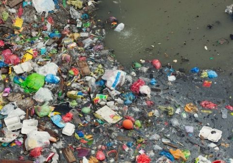 Threats To Coral Reefs Us Epa