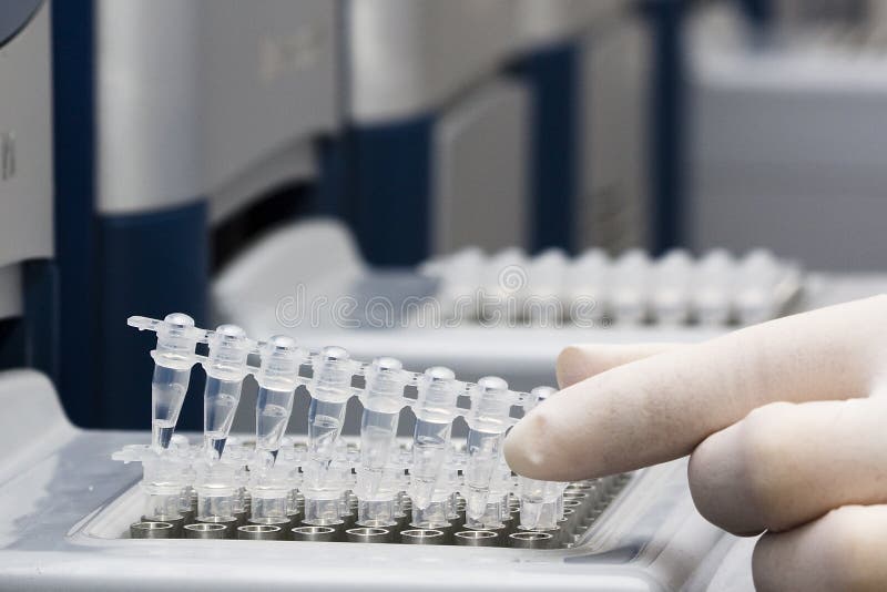 Premium Photo Closeup Of Dna Gel Electrophoresis Action Scene Gel