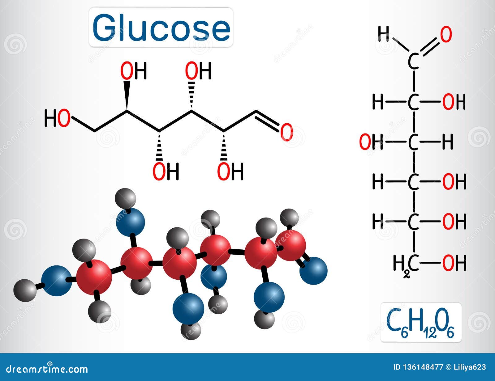 How Is Glucose Transported