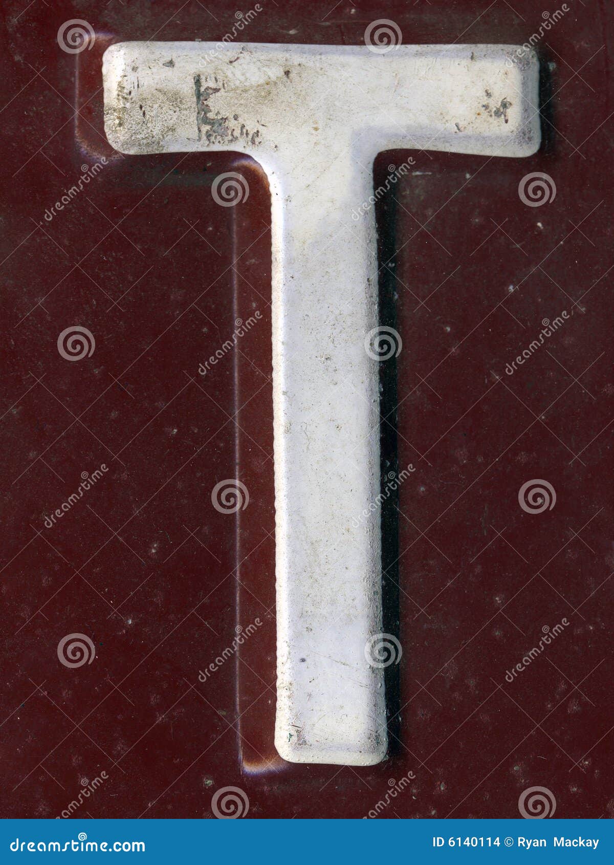 T Cell Activation Transcription Factors