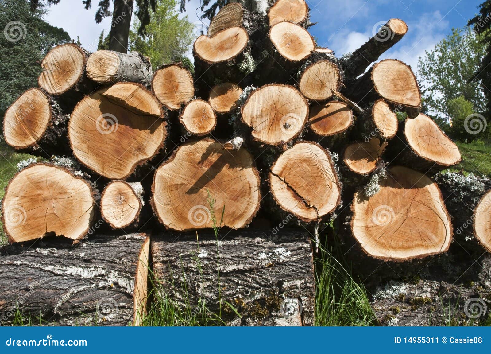 How To Log Into Spotify On Mobile Web And Desktop