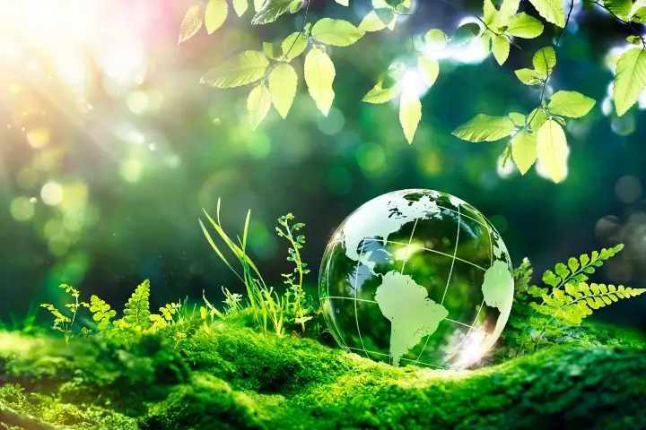 How To Create An Environmental Aspects And Impacts Register Nqa Blog