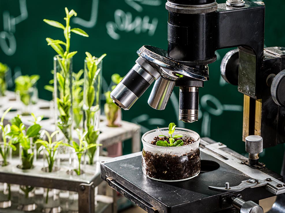 Overview Of Biology Mechanisms