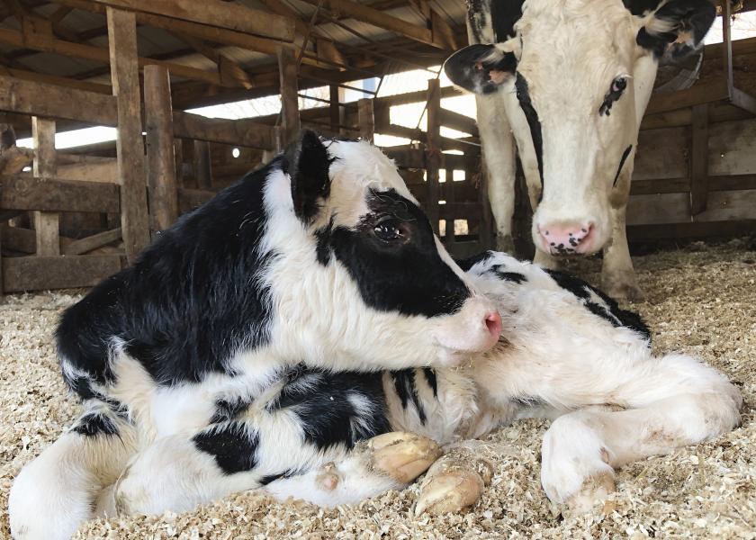 Reproduction And Breeding