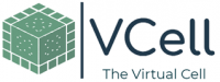 Vcell Modeling