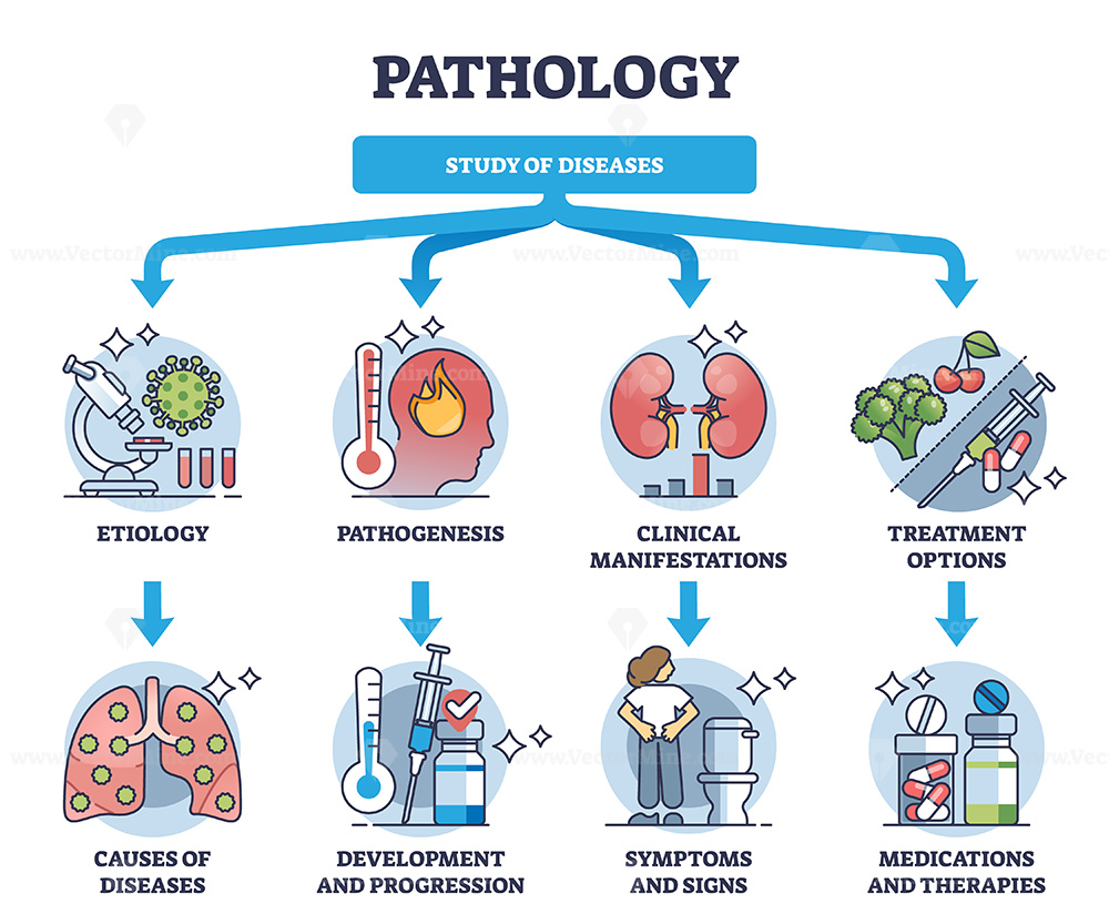 Pathology Types And Characteristics Download Scientific Diagram