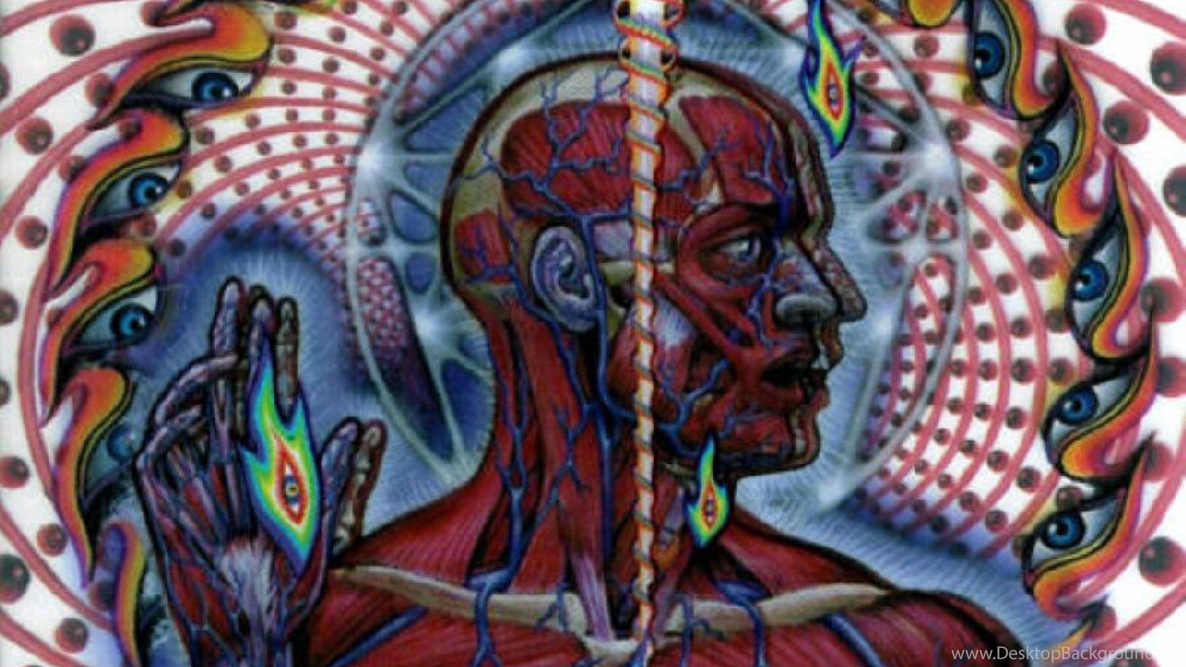 Web Tool Interface For Cse Dataset Entry Download Scientific Diagram