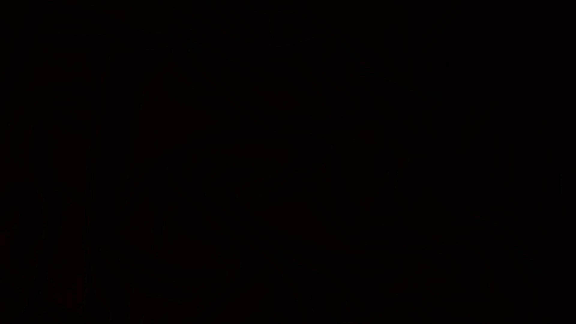 Black Plastic Leakproof Mesh Net Garden Safety Net Cat Pet Chicken