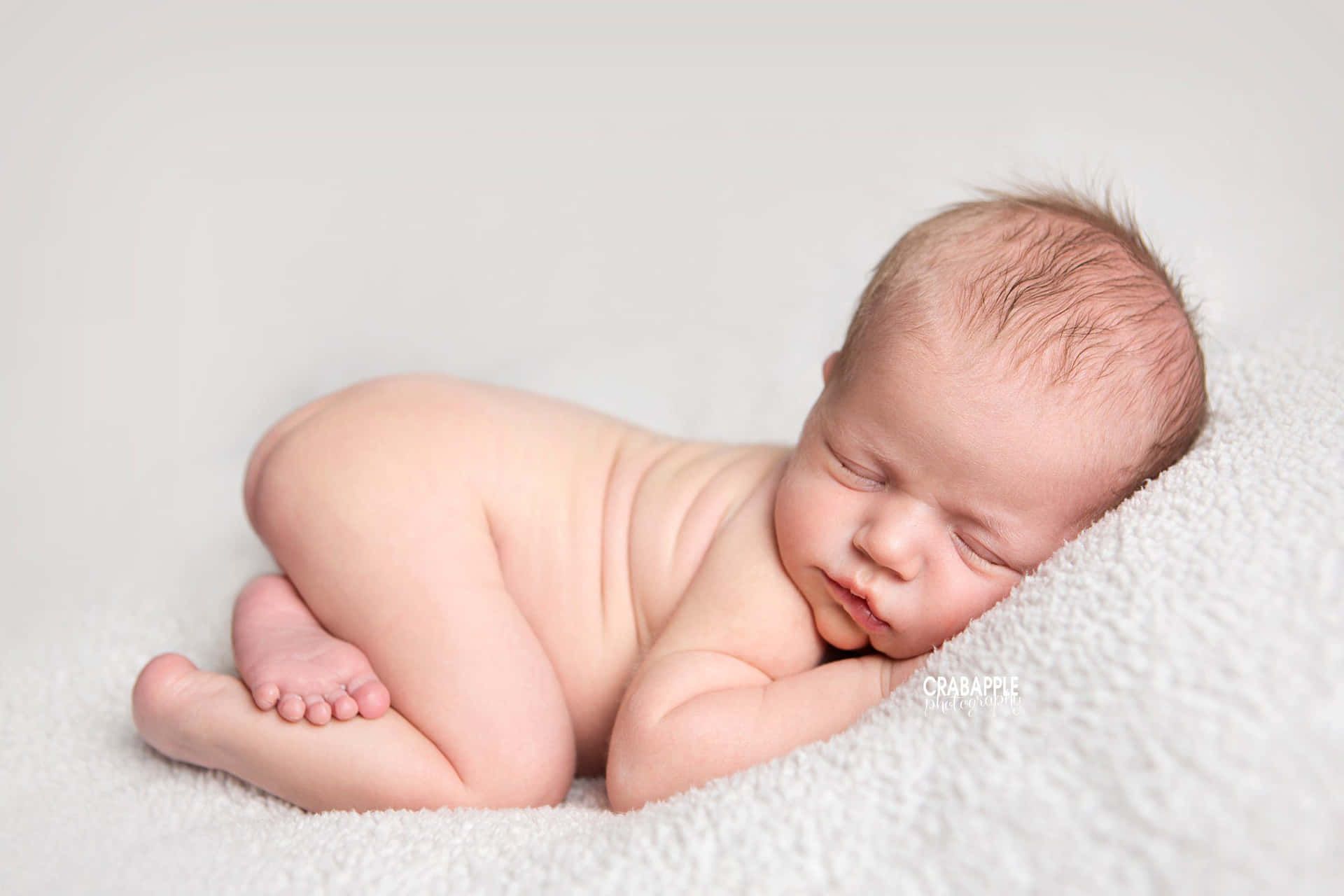 Newborn Kenyon Cells Express High Levels Of Glu In The Drosophila