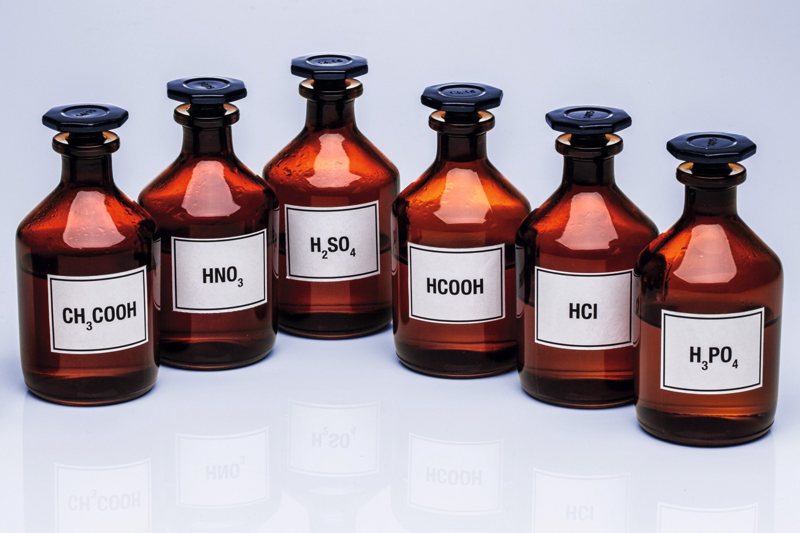 Acid Sensing Ion Channels In Dorsal Spinal Cord Neurons Ipmc