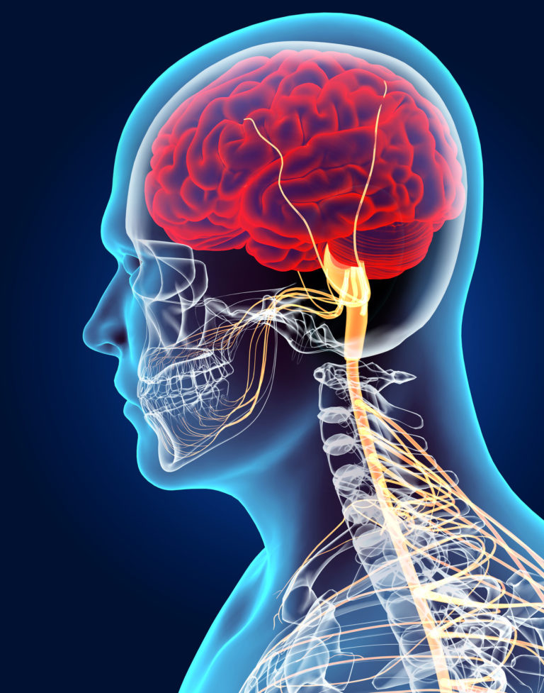 Cns Chapter 5 Aii Cryptography And Network Security Studocu
