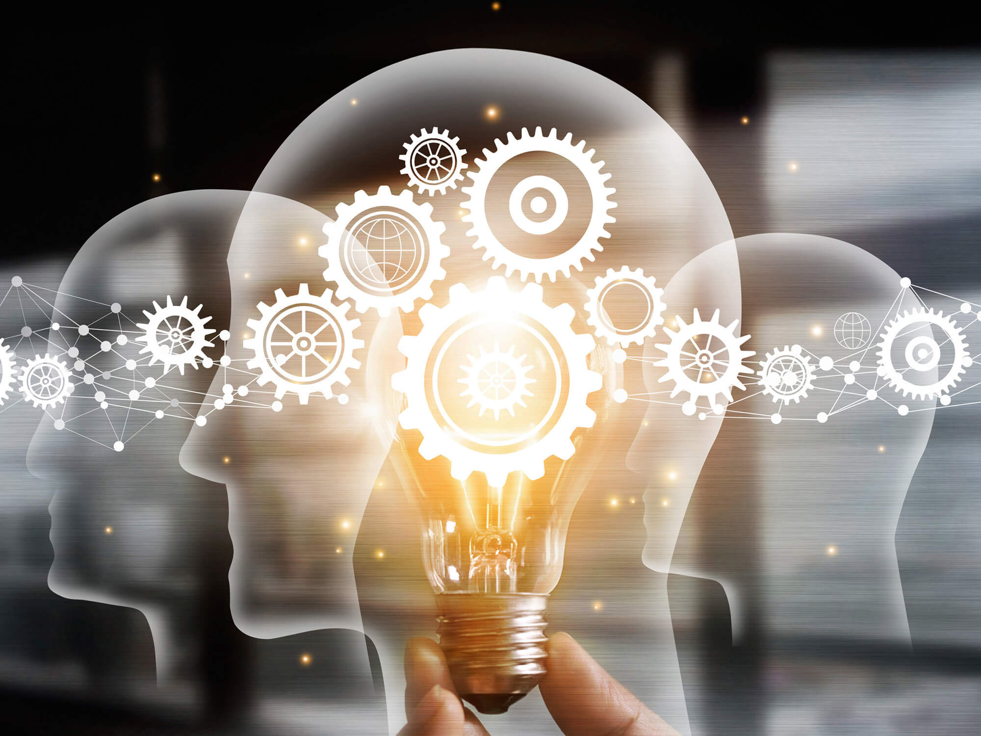 Gallery Of How To Implement Passive Solar Design In Your Architecture