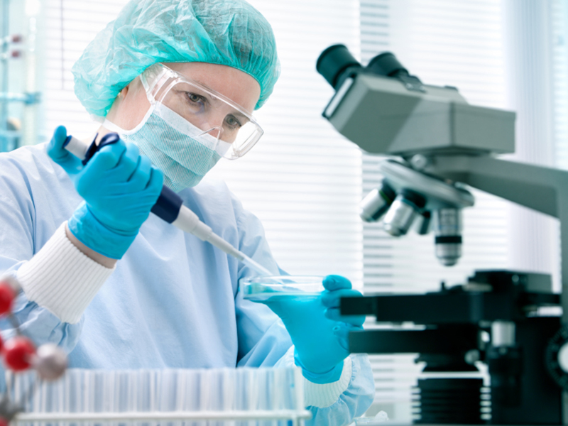 Lab Report The Impacts Of Salinity On Modern Agriculture