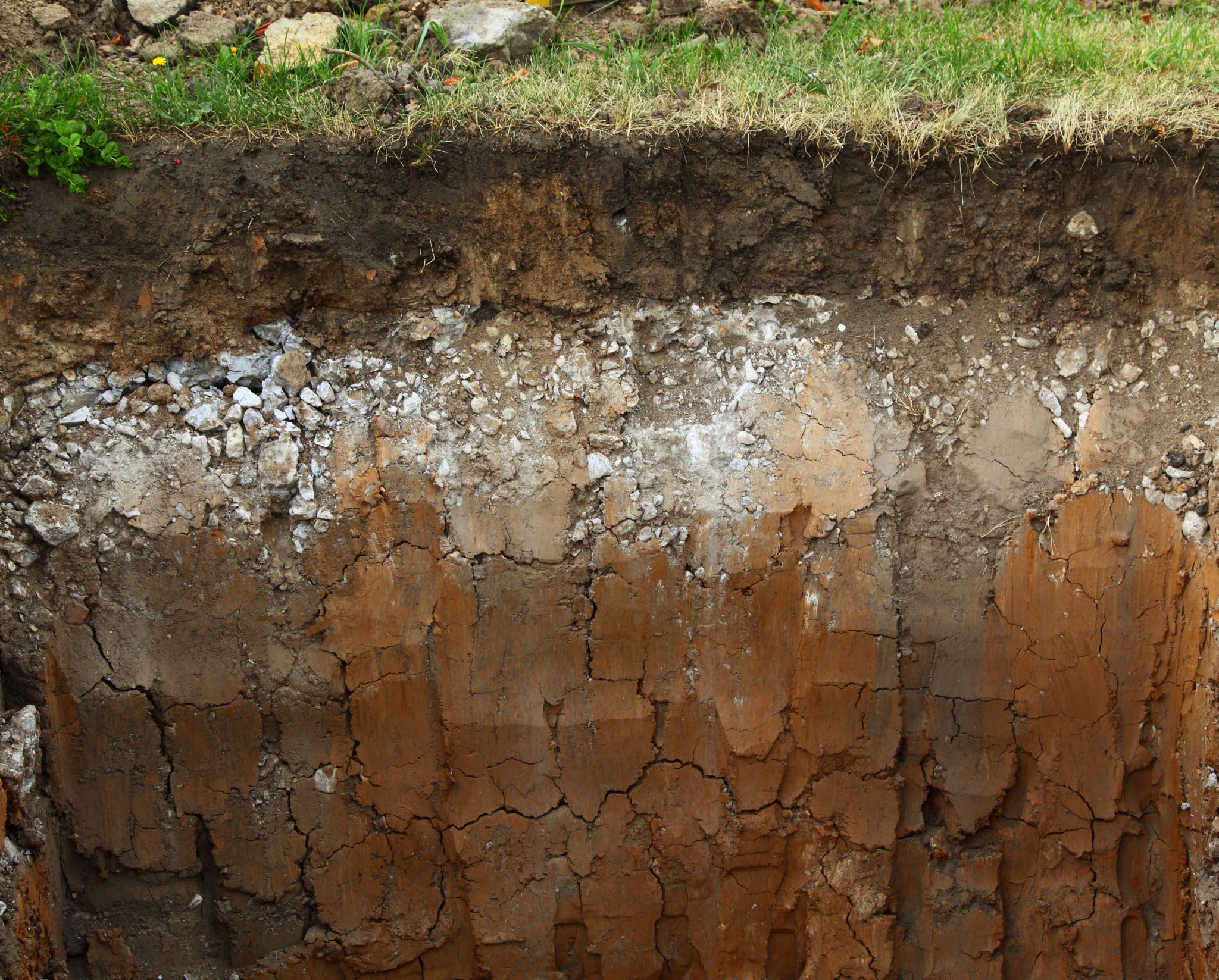 The Soil Samples Collected In This Study Download Scientific Diagram