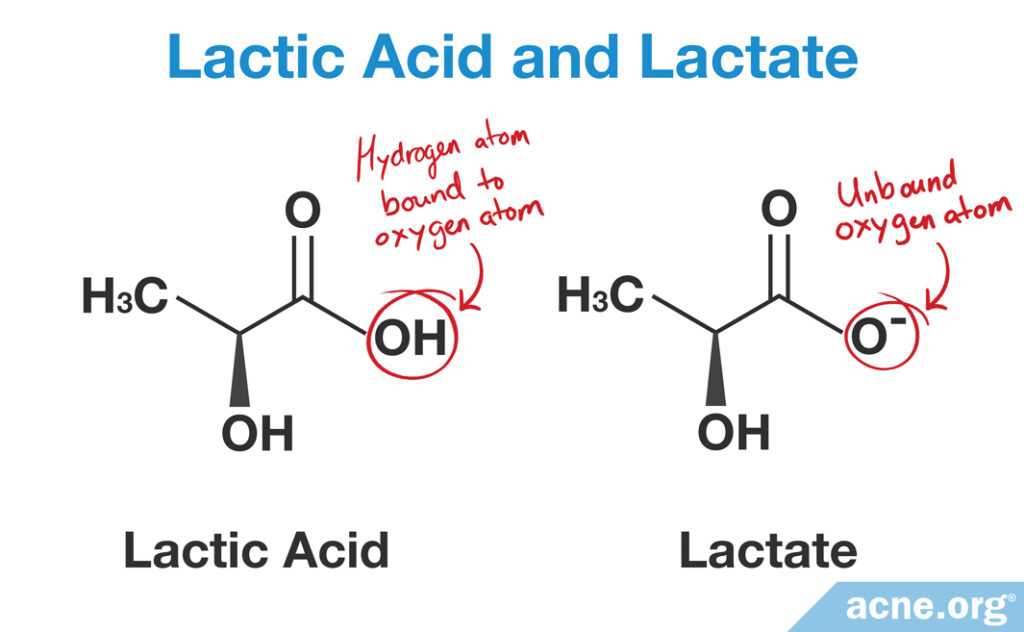 Lactate Dehydrogenase Molecule Photograph By Laguna Designscience