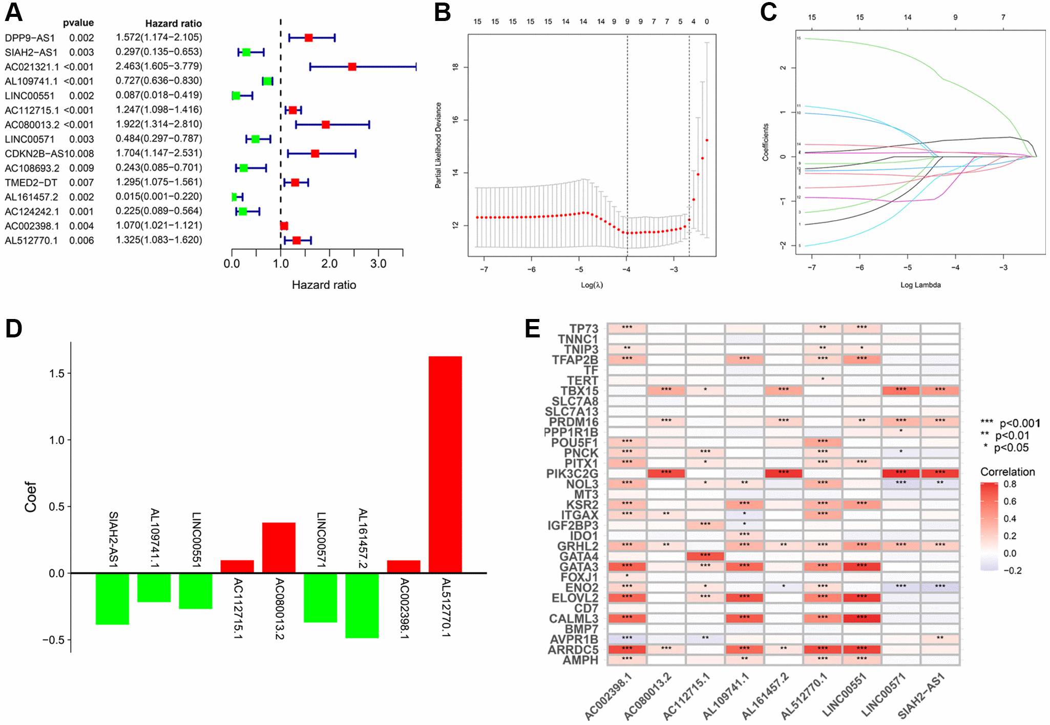 Identification Of Novel Long Non Coding Rnas In Clear Cell Renal Cell