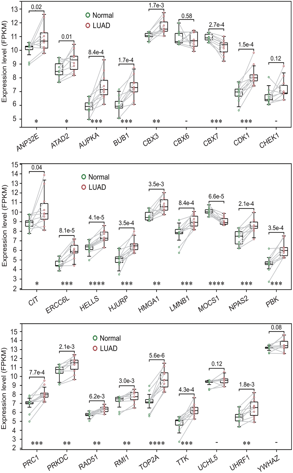Characteristics Of The 3 Apoptosis Related Gene Based Signature