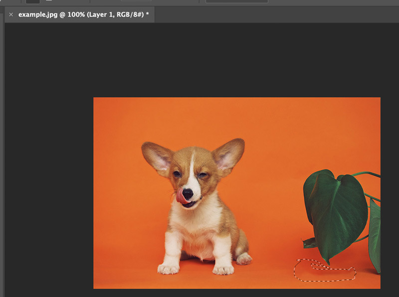 How To Remove Watermark In Photoshop Easy Steps