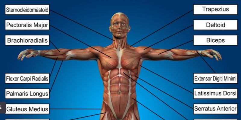 Sample Labeled Images With Different Augmentation Methods A Original