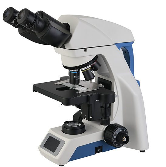 The Optical Microscope Image