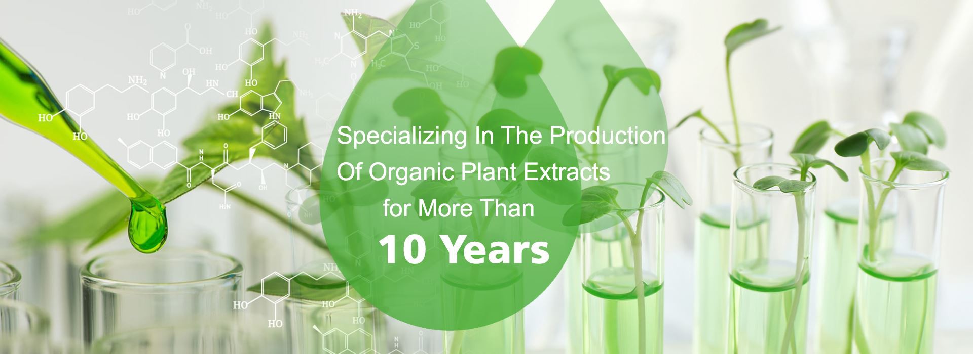 Quality Organic Fertilizers Peptones Factory From China