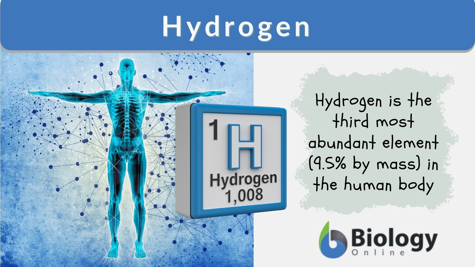 Hydrogen Bond Motifs And The Corresponding Contour Map Of The Electron