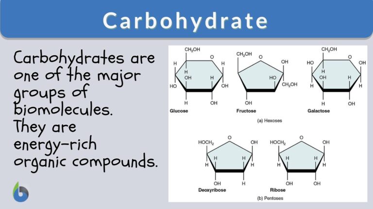 Carbohydrate Is Composed Of Which Elements