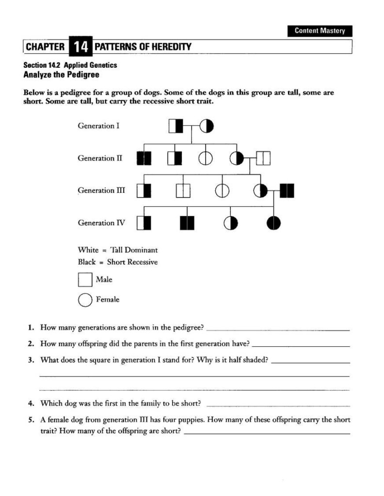 Edpuzzle Complex Genetics Review Mar 10 2023 At 1003 L Heredity 1l