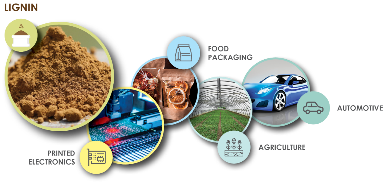 Lignin