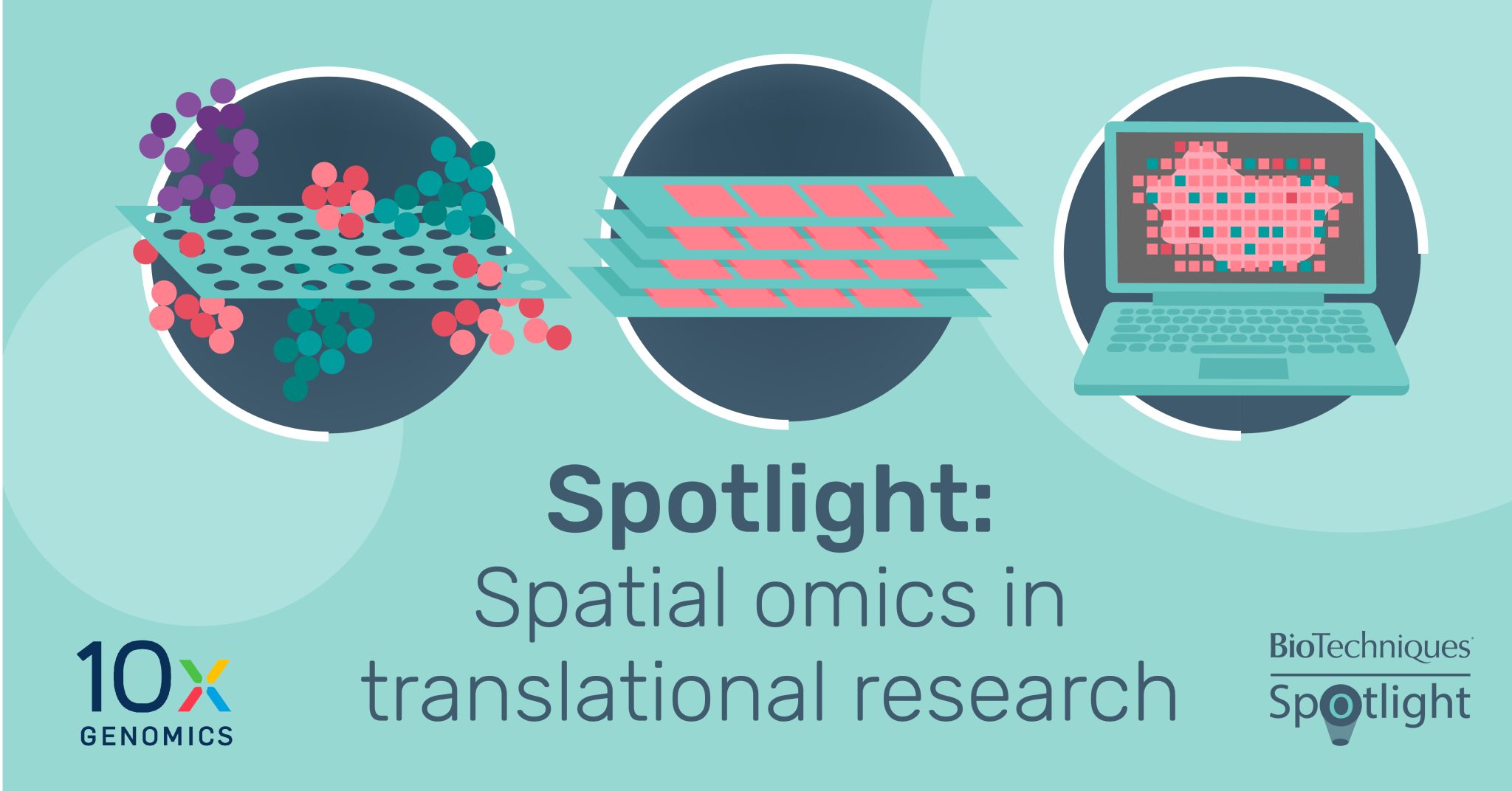 Spatial Omics Techniques
